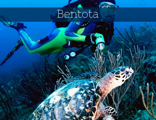 Bentota