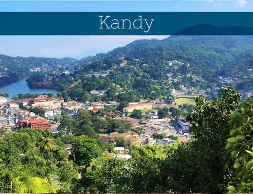 Kandy