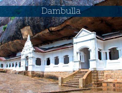Dambulla