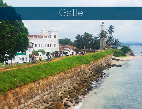 Galle