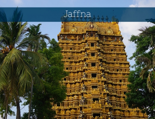 Jaffna