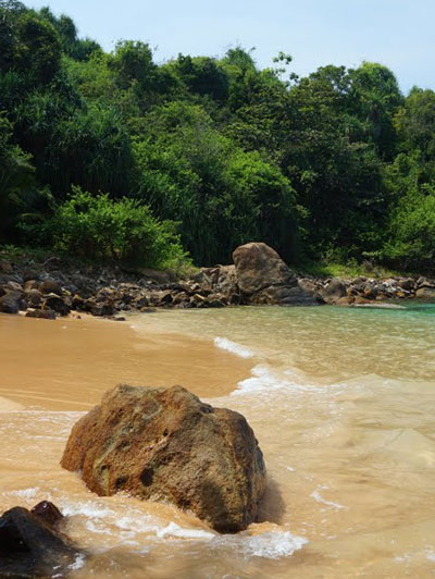 Jungle-beach