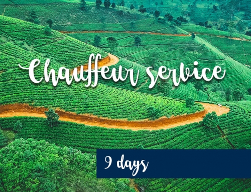 Chauffeur service – 9 days