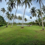 Negombo hotel